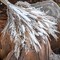 Natural Dried Pampas Grass Bouquet 86PCS + 10PCS Grass ,Boho Home Decor Bouquet, Phragmites Dried Flowers,Bouquet for Wedding Floral Arrangements Home Decorations